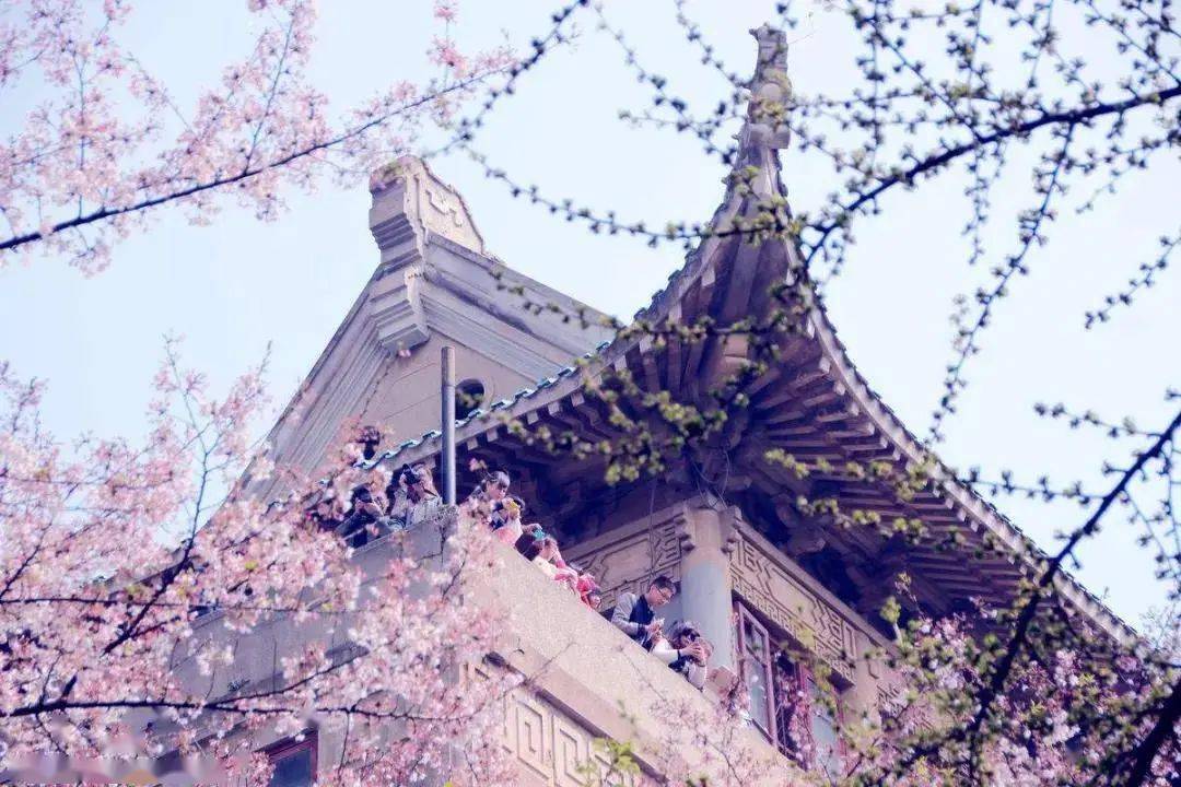 武汉大学里若何寻找优质服务