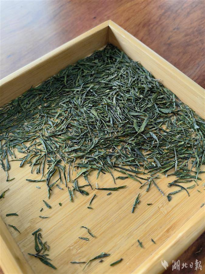 武汉新茶嫩茶已到店