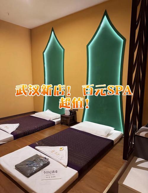 武汉几多钱的SPA含有飞机