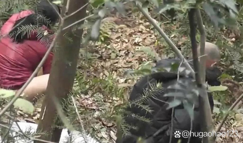 武汉丛林公园老人买卖