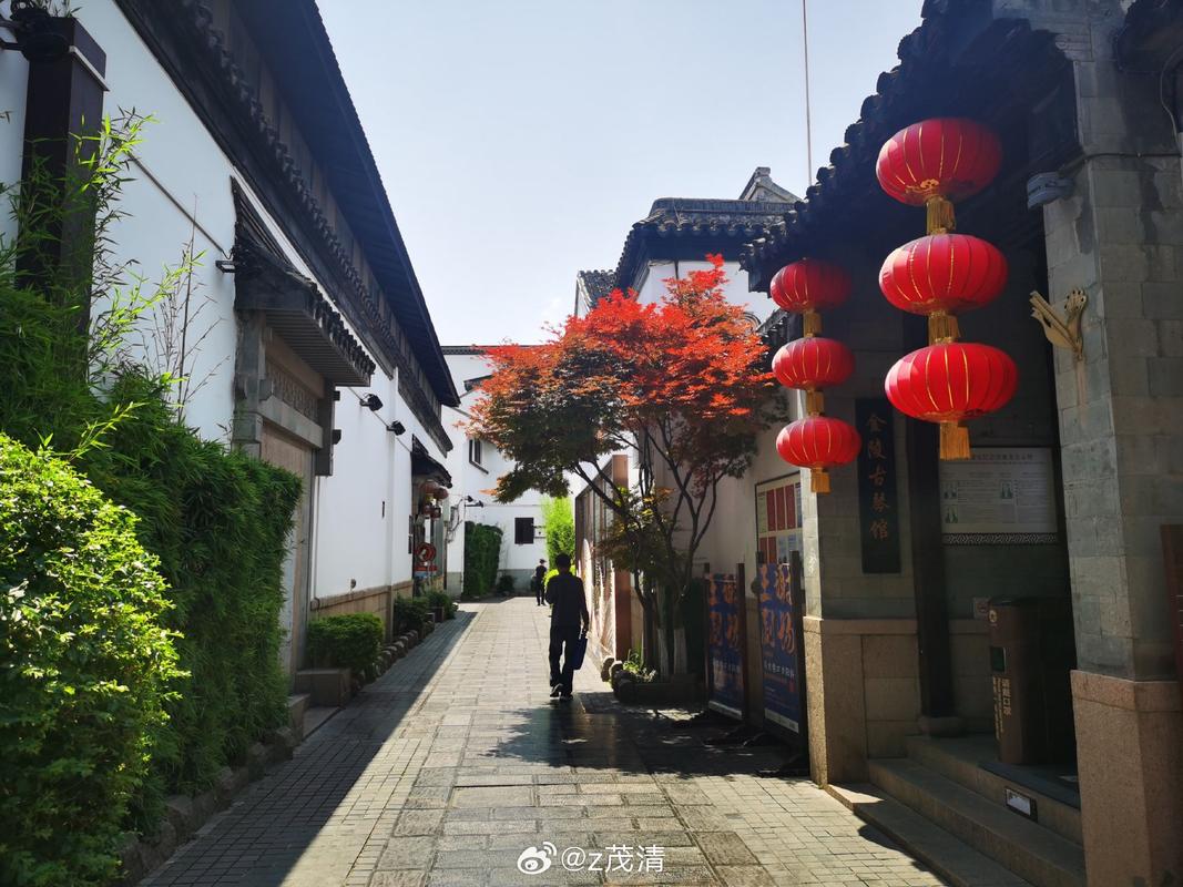 漯河幼小路招揽客人景象在哪些处所有