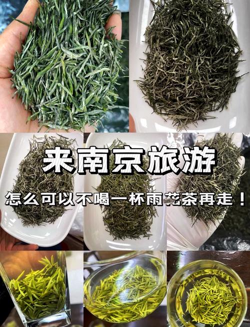 漯河700元3幼时不限次数品茶