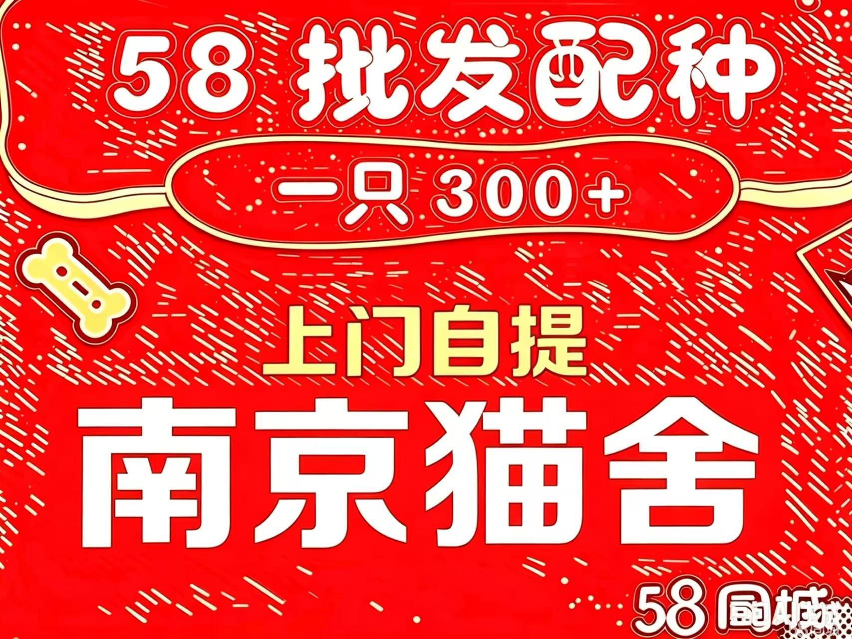漯河300块钱4个幼时上门服务