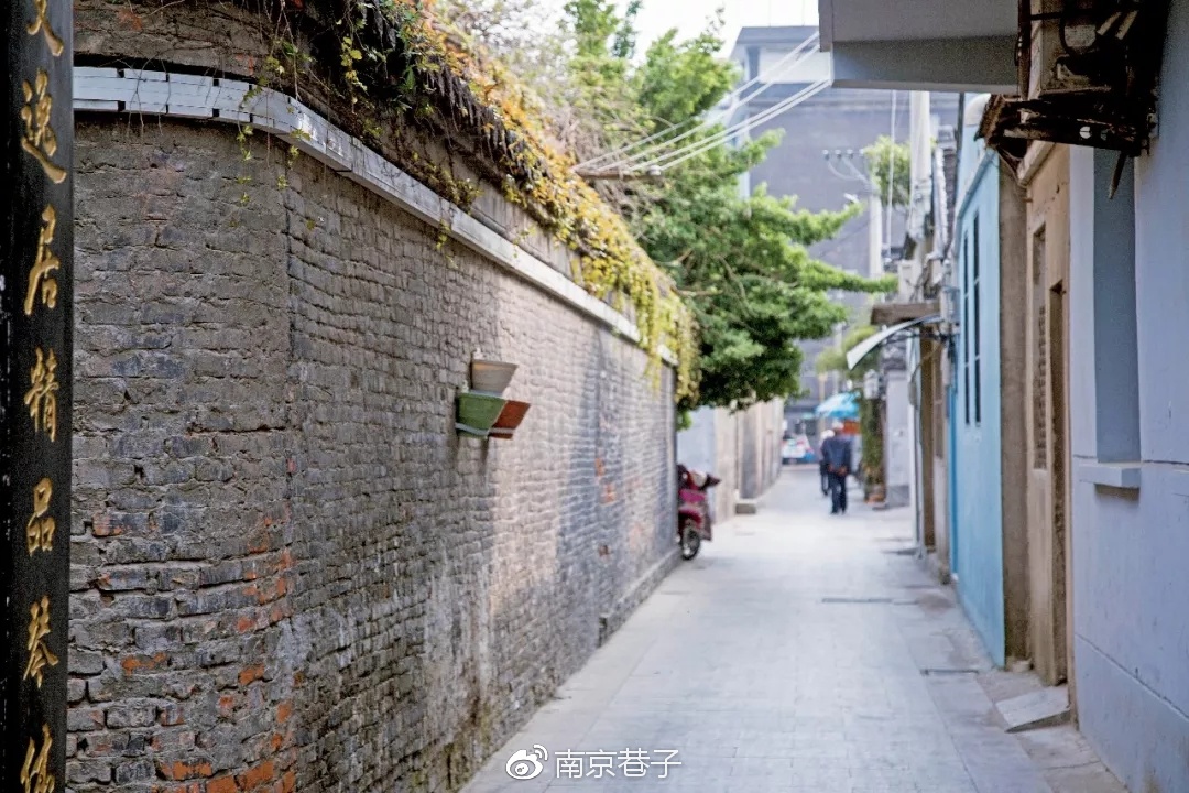 漯河汉子最爱去的幼小路
