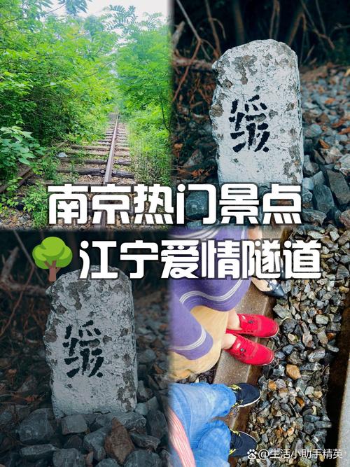 漯河小路里的爱情哪里有