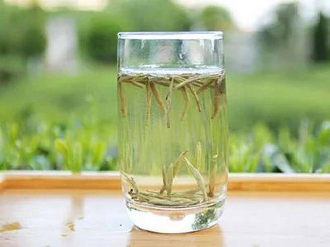 漯河品茶600左右的价位
