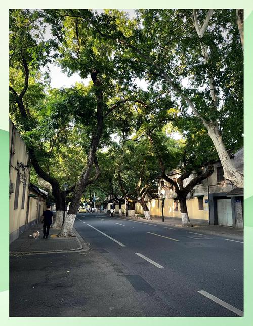 漯河哪里有站大街的小路或路边