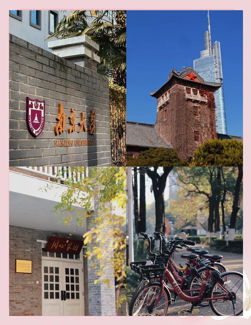 南京大学里怎样寻找优质服务