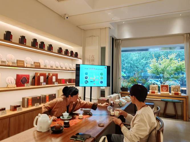 漯河品茶喝茶值得推荐的海选工作室