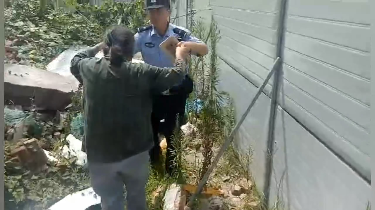 漯河老人做买卖丛林