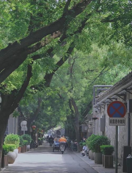 北京汉子最爱去的幼小路