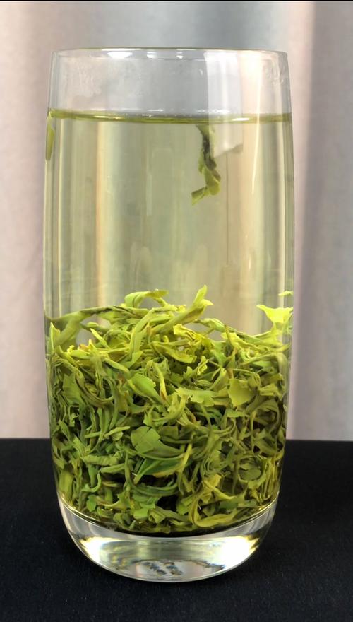 北京喝茶资源新茶嫩茶