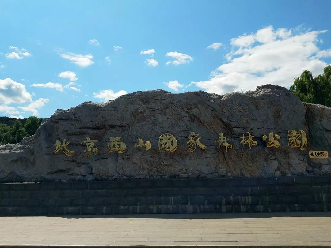 北京丛林公园老人买卖