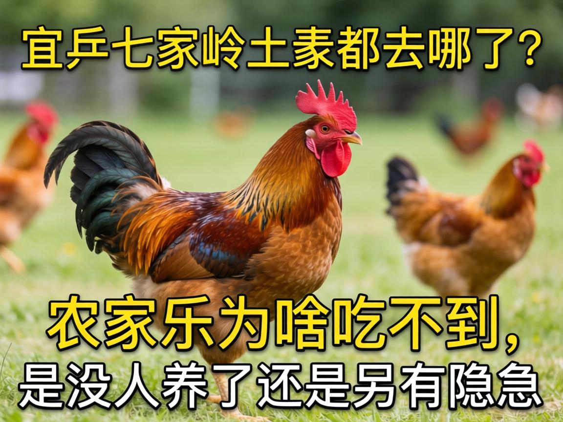 �˴��߼����������ȥ������ũ����Ϊɶ�Բ�������û�������վ�����������