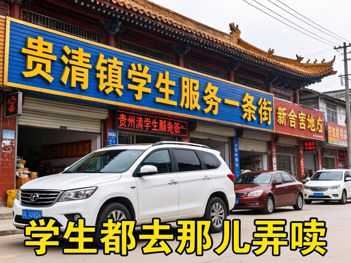 贵州清镇学生服务一条街到底是啥地方？学生都去那儿弄啥嘞？