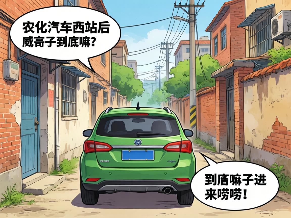 ����������վ�������Ӿ�������������˽�Ľ������룡