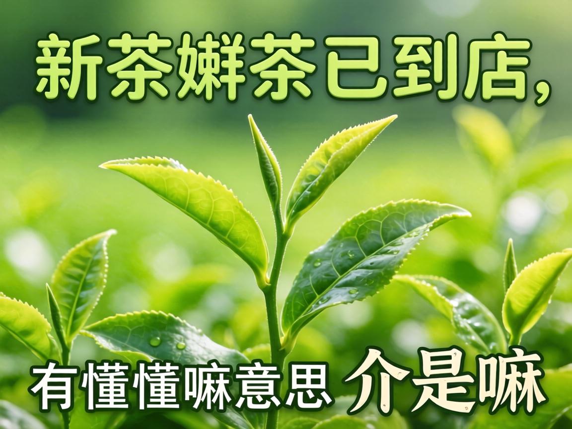 �²��۲��ѵ�������������˼���ж��ĸ������£�