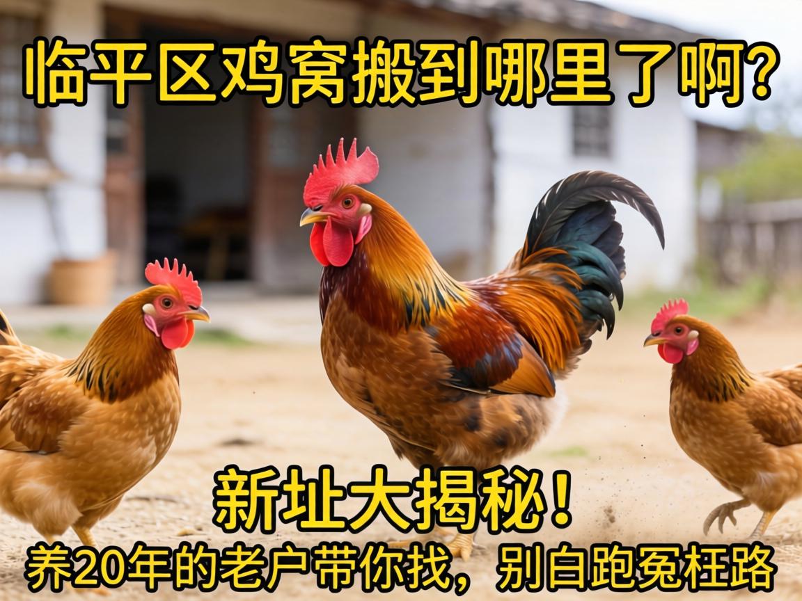 ��ƽ�����Ѱᵽ�����˰�����ַ����أ�����20����ϻ��������������ԩ��·��