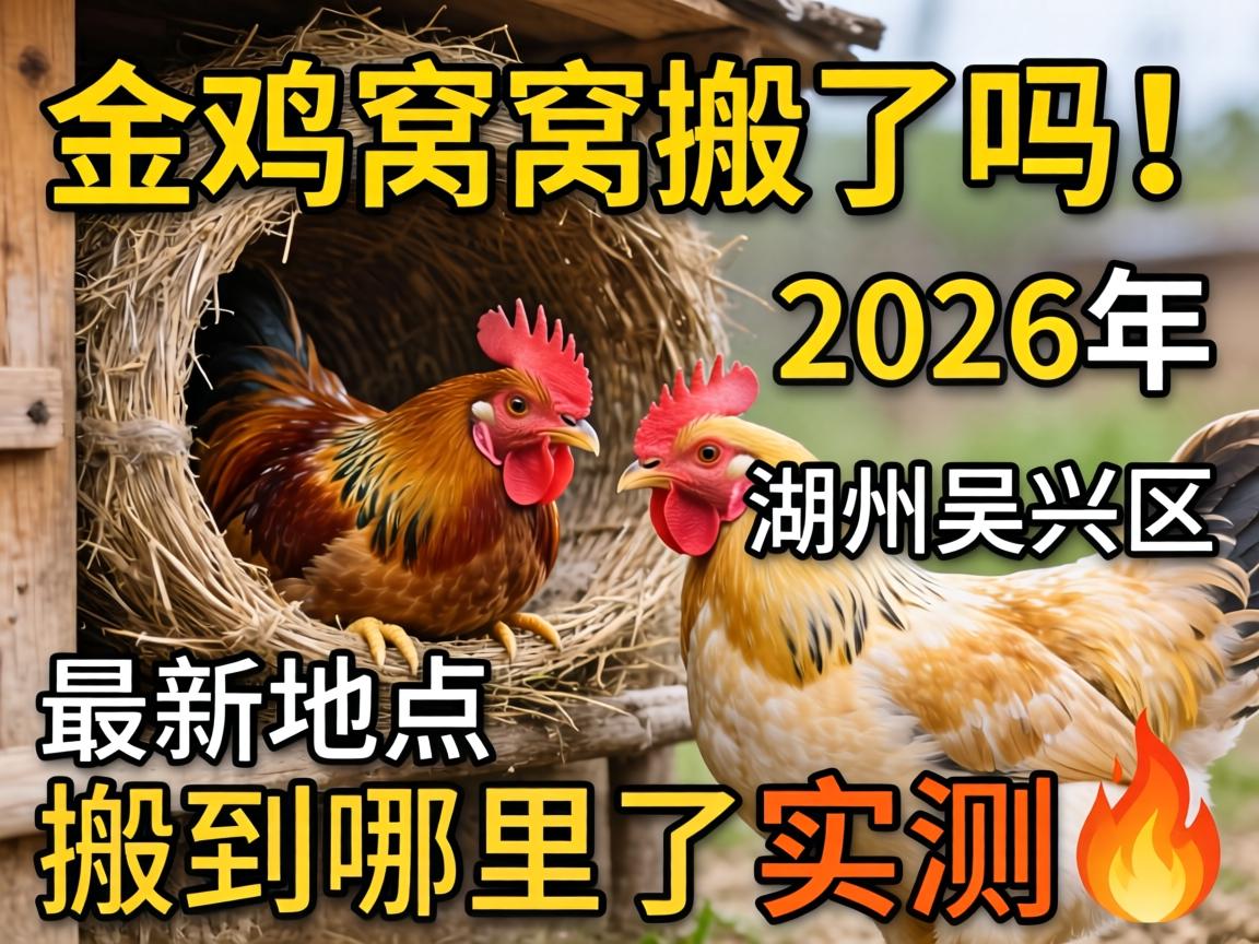 ���Ѱ�������2026�������������������λ��|�ᵽ������ʵ��?