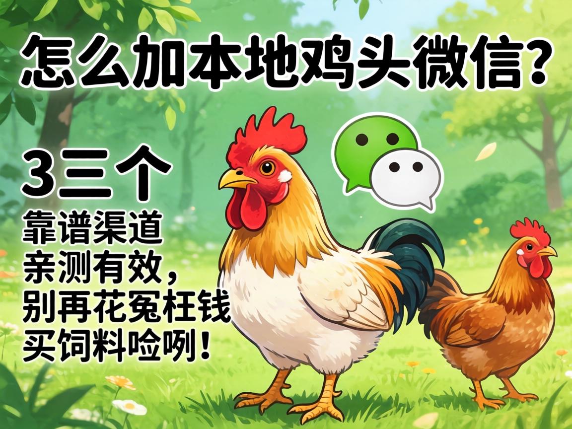 怎么加本地鸡头微信？3个靠谱渠道亲测有效,别再花冤枉钱买饲料鸡咧！