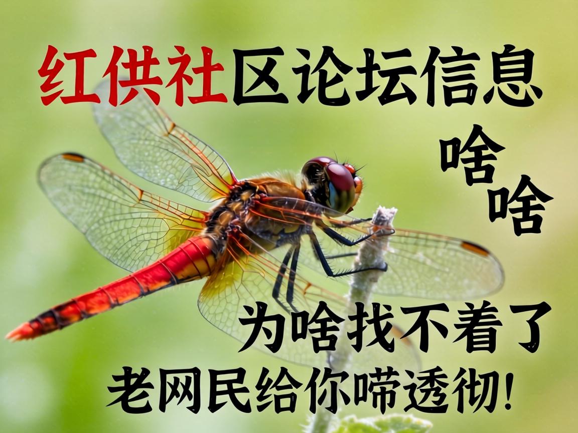 红蜻蜓社区论坛信息是啥、为啥找不着了？老网民给你唠透彻！