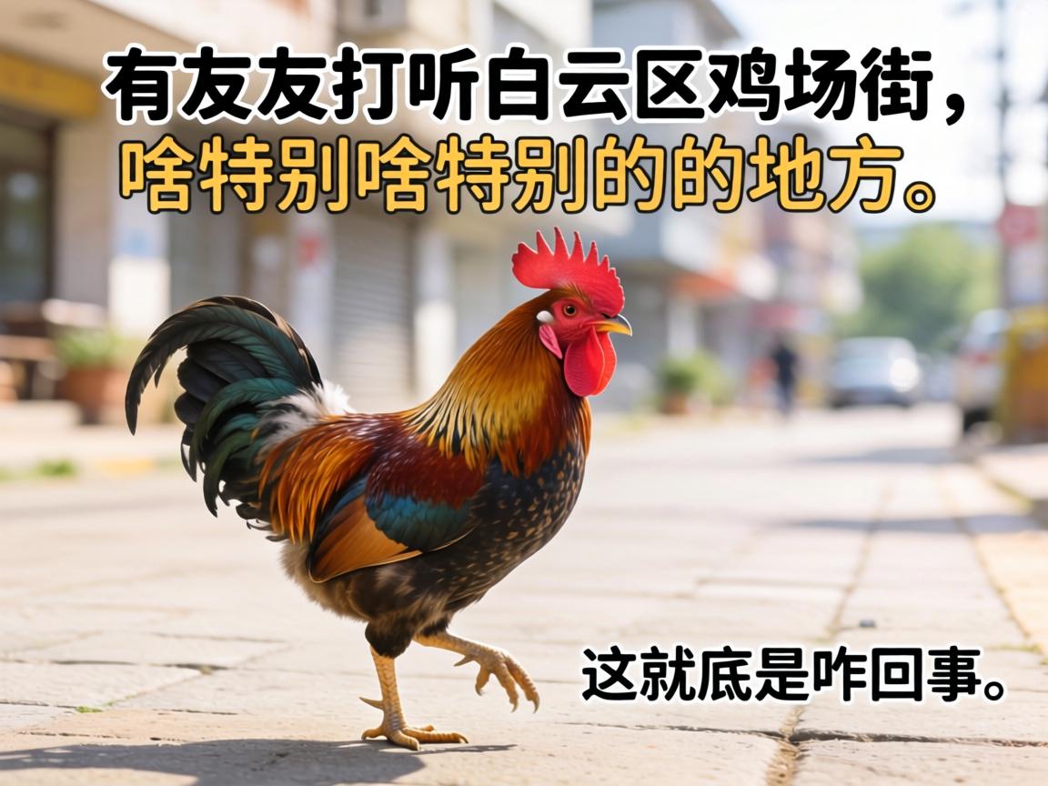 ������̽ѯ��������������ɶ�ر�ĵط����⾿����զ������