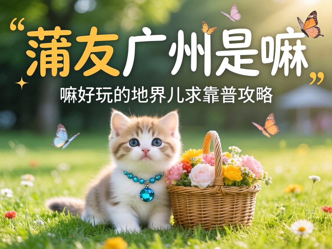 ���ѹ���������˼���������ĵؽ�������׹��ԣ�