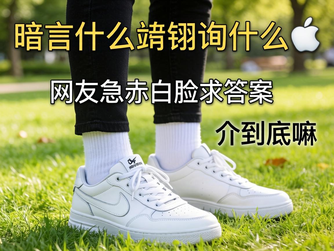 ��԰���С��Ь�п�ʲô�����Ѽ���������յ����龿���������