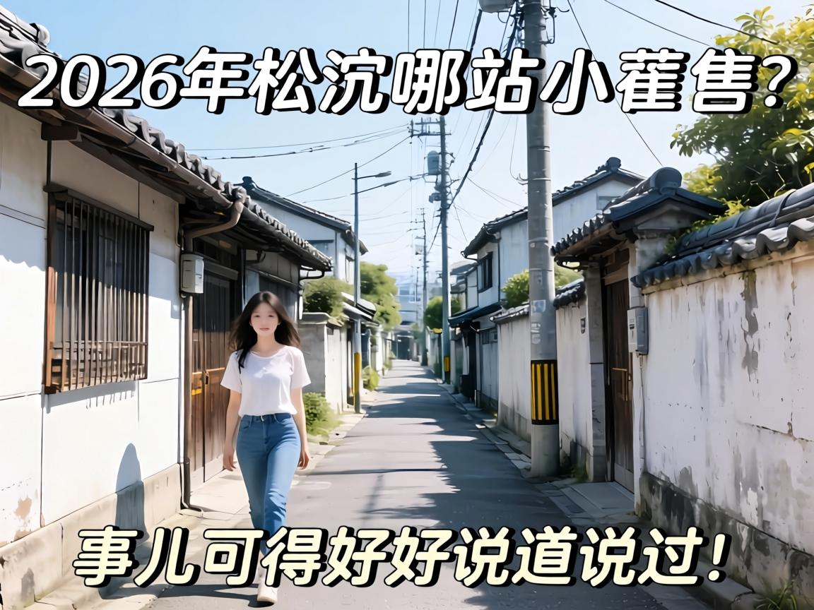 2026���ɽ�����վС��������¶��ɵúú�˵��˵����