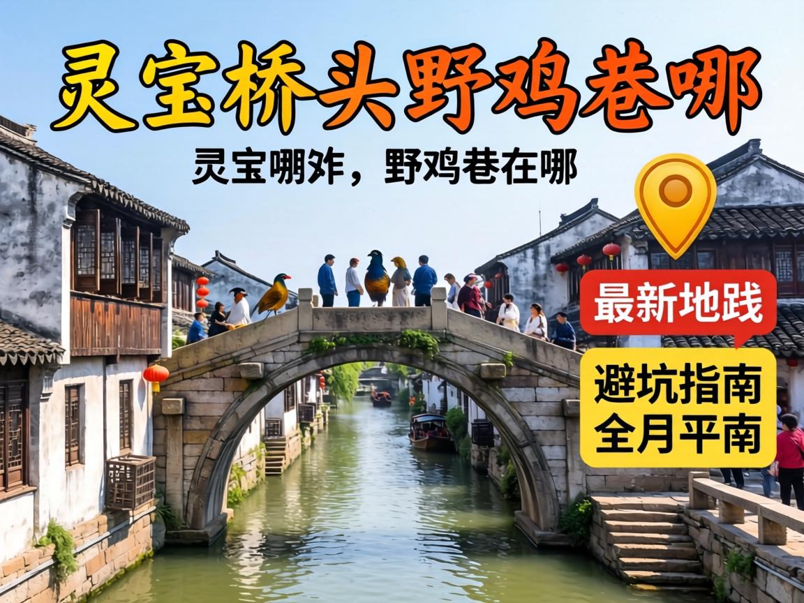 �鱦��ͷҰ��������������λ��·����ܿ�ָ��ȫ���棡