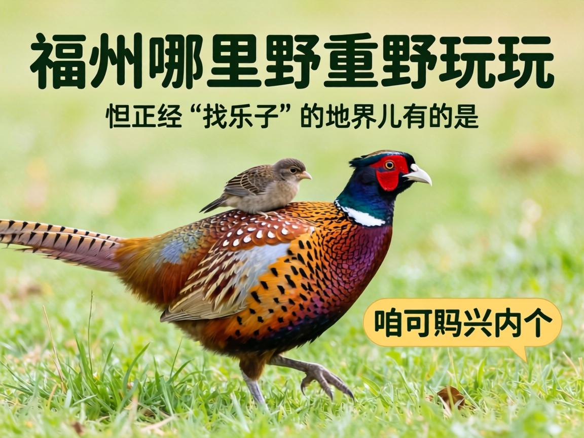 ����������Ұ�����������ۿɲ����ڸ����������������ӡ��ĵؽ���е��ǣ�