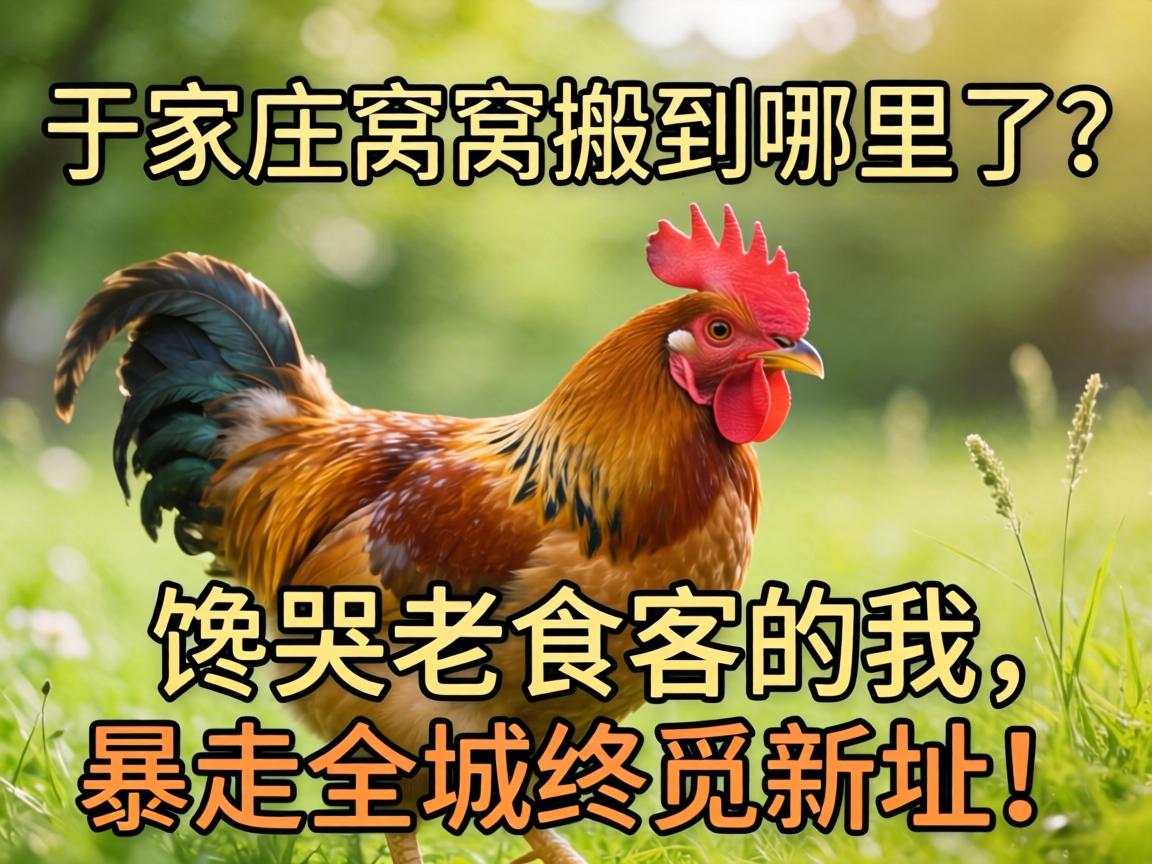 �ڼ�ׯ���Ѱᵽ��������������ʳ�͵��ң�����ȫ��������ַ��