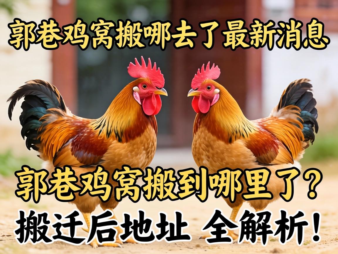 ���Ｆ�Ѱ���ȥ��������Ϣ�����Ｆ�Ѱᵽ����������Һ�ص�ȫ������