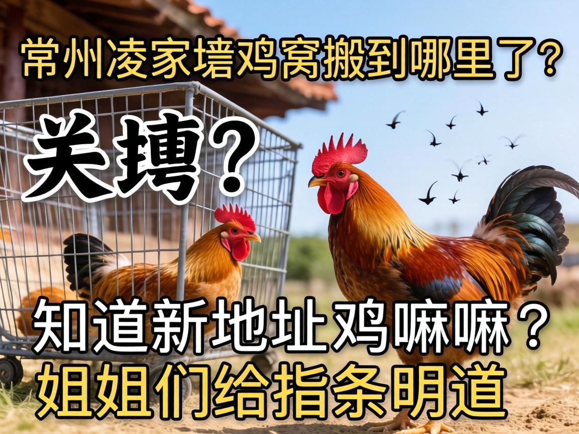 常州凌家塘鸡窝搬到哪里了？有知道新地址的嘛，姐姐们给指条明道！