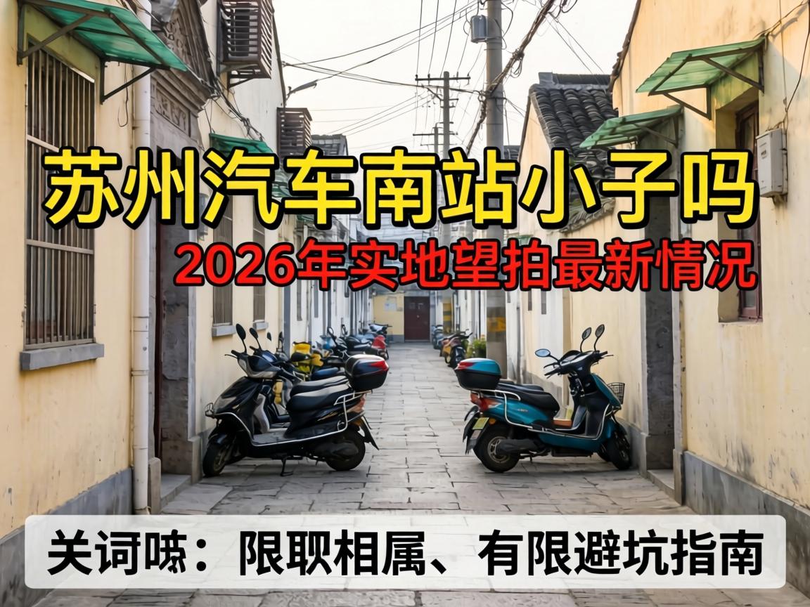 ����������վС������������2026��ʵ��ʵ��������������ܿ�ָ��