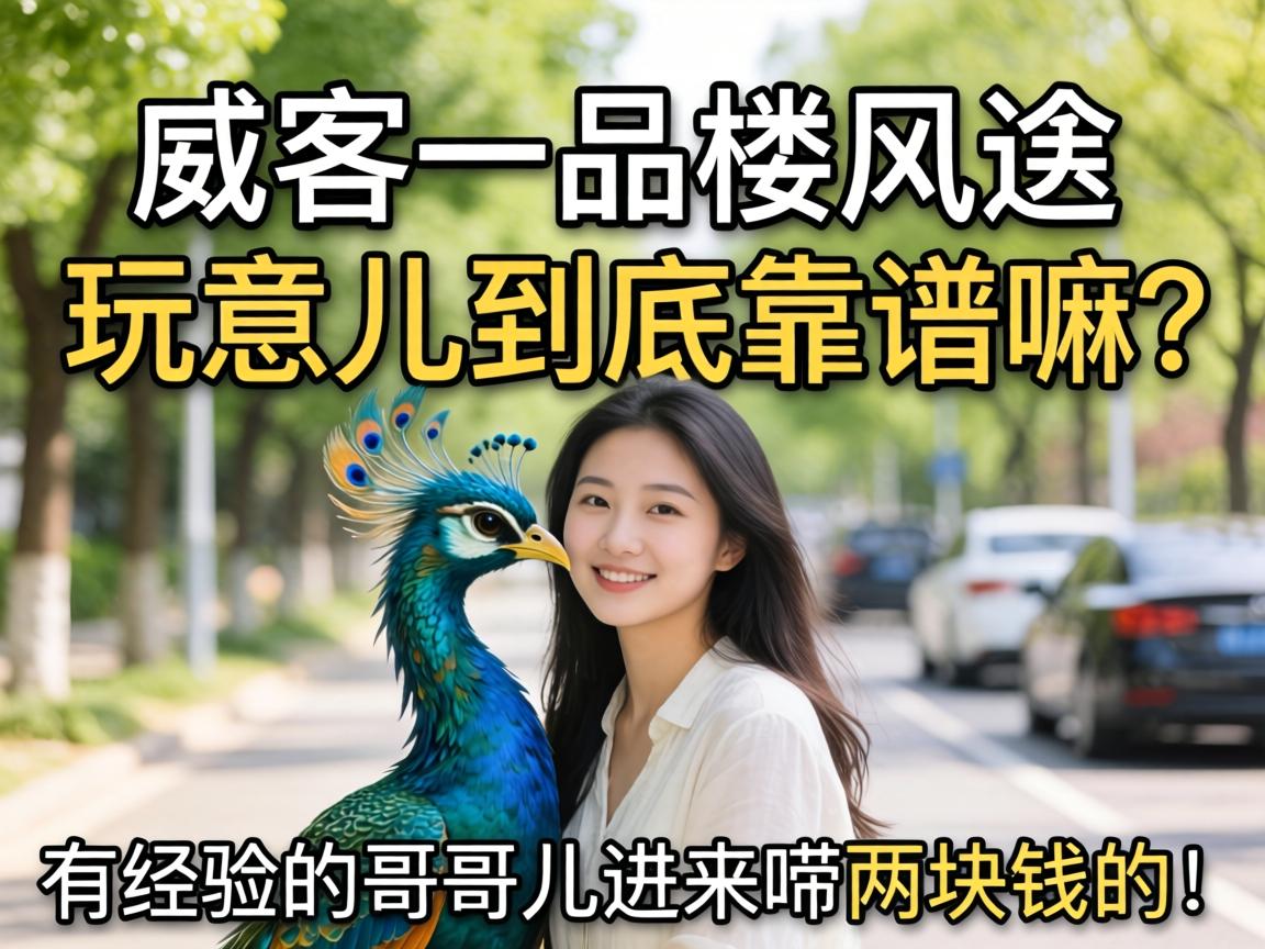 ����һƷ¥����������������������о���ĸ��Ƕ�����������Ǯ�ģ�