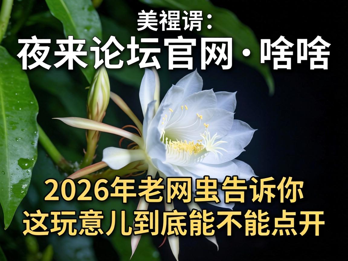 ҹ������̳������ɶ��2026���������������������������ܲ��ɵ㿪��