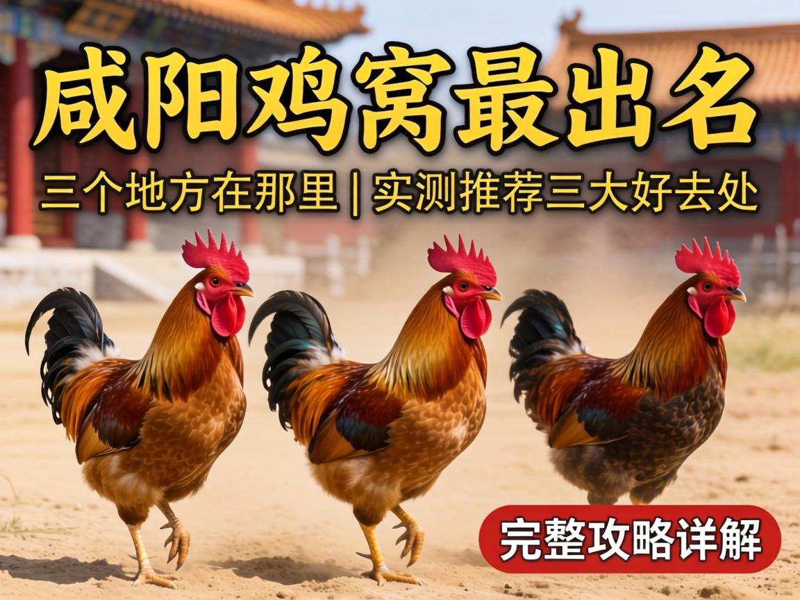 ���������������������ط����� | ʵ���Ƽ������ȥ�� �����������