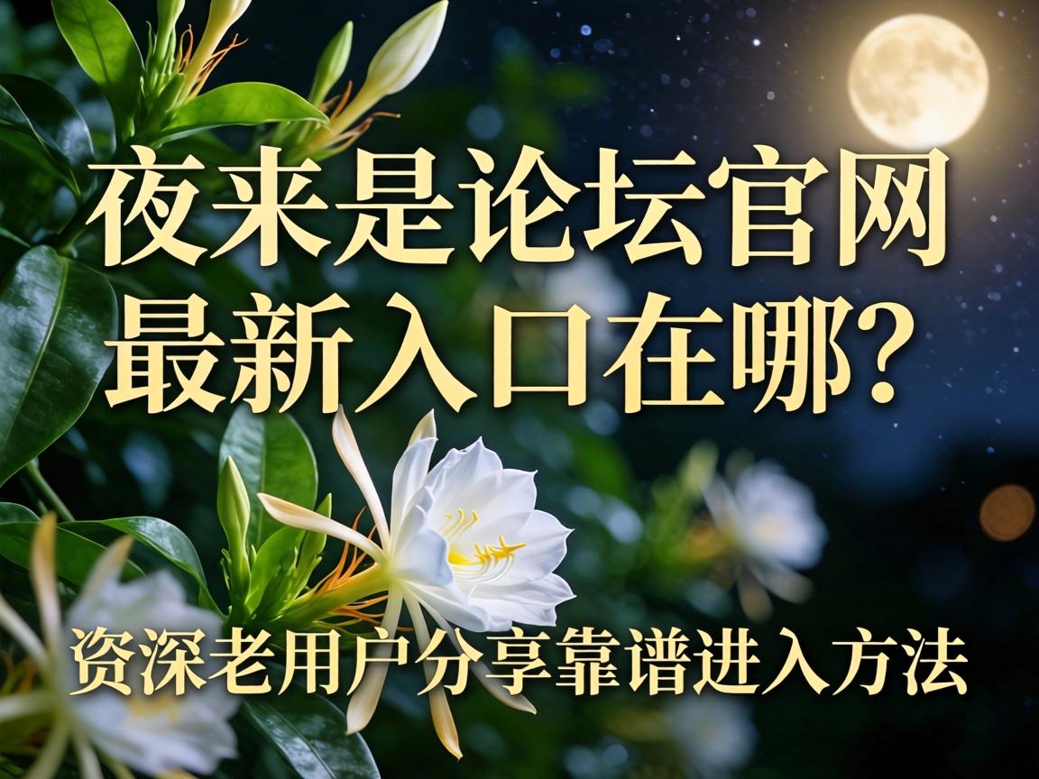 ҹ������̳������������������������û��������׽���Ҫ��