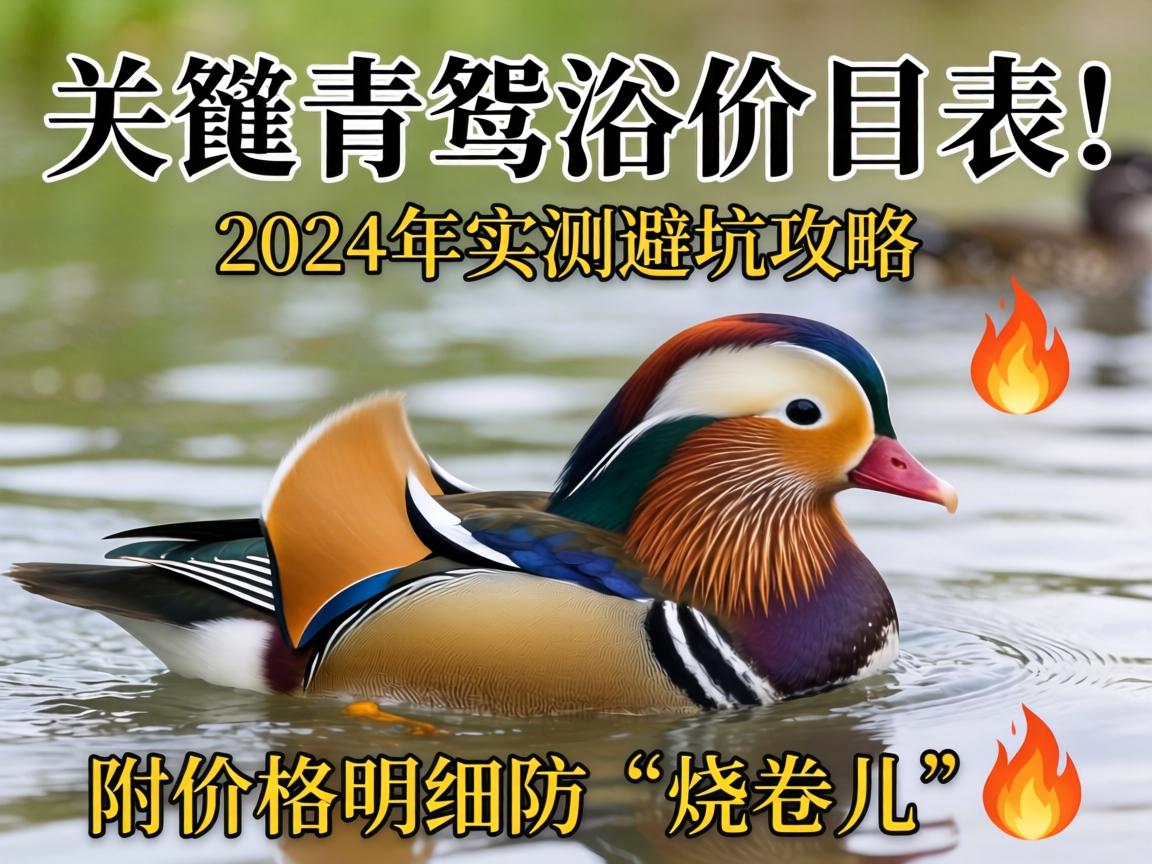 ԧ��ԡ��Ŀ��|2024��ʵ��ܿӹ��������۸���ϸ�����վ�����?