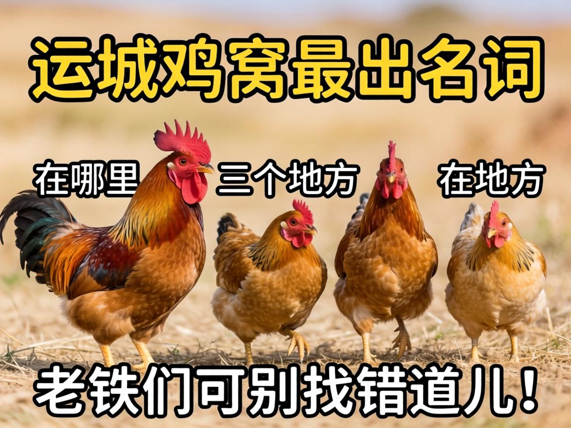 �˳Ǽ����������������ط������������ǿɱ��Ҵ�������