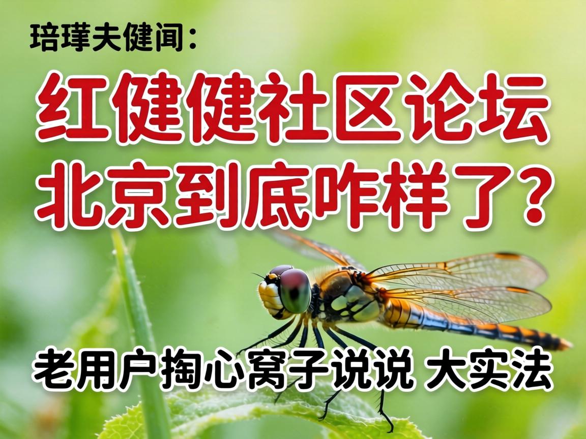 ������������̳��������զ���������û���������˵˵��ʵ��