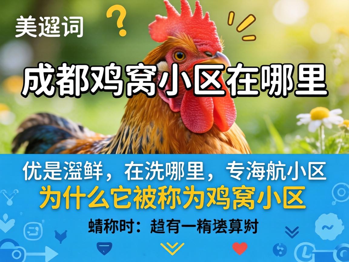 �ɶ�����С�����������Լ�Ϊʲô������Ϊ����С����