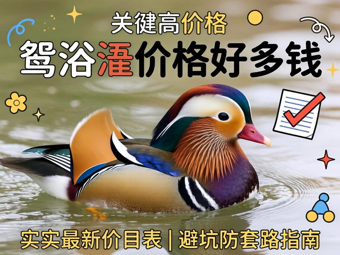 Ô§ÑìÔ¡¼Û¸ñºÃ¶àÇ® ? ʵ²â×îмÛÄ¿±í | ±Ü¿Ó·ÀÌ×·ָÄÏ