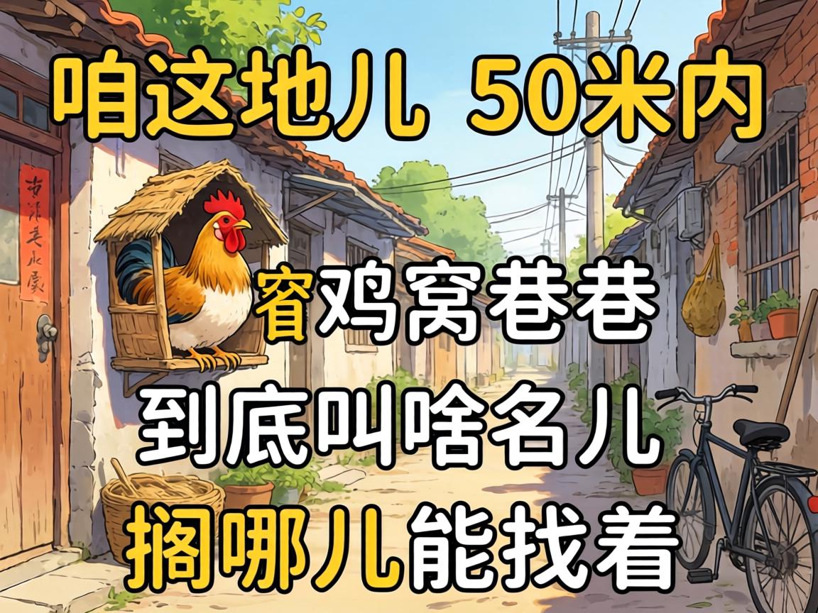 ������ض���50�����м��ѵ����Ӿ�����ɶ���������Ķ������ţ�