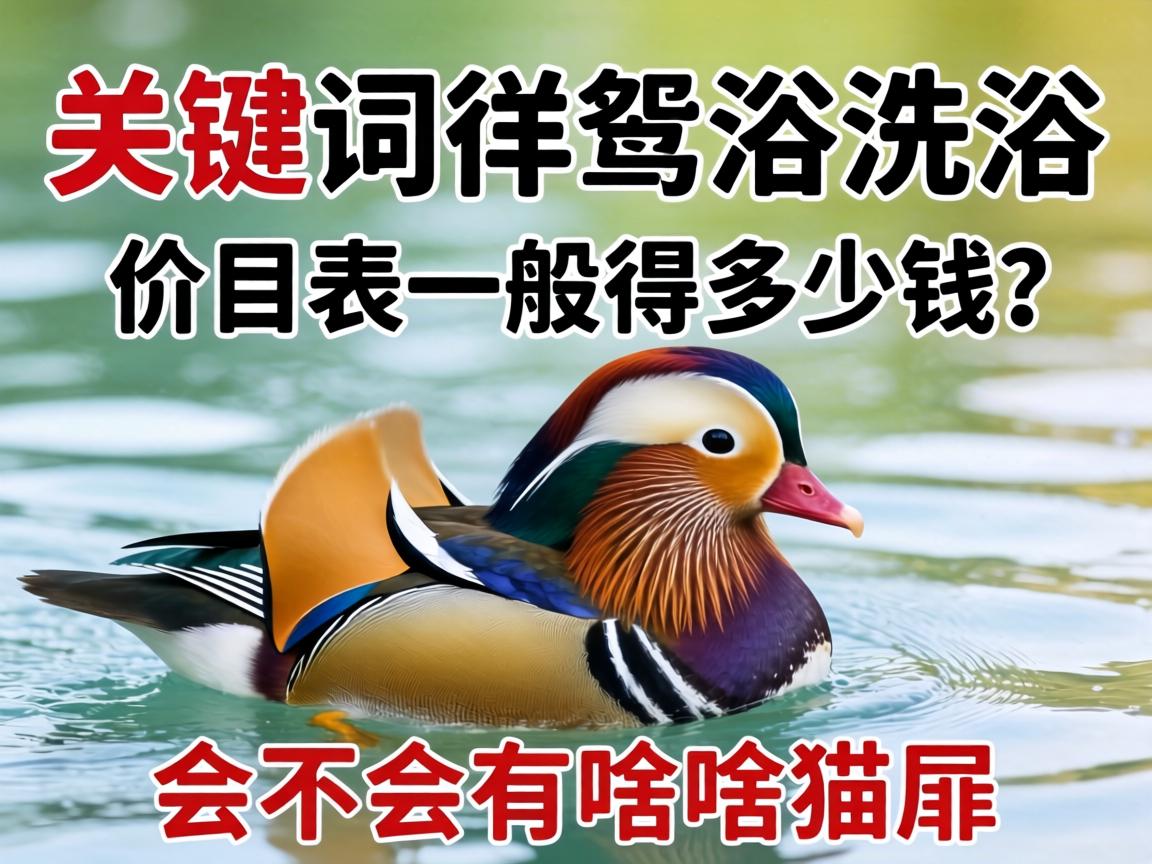 ԧ��ԡϴԡ��Ŀ��һ��ü���Ǯ���᲻����ɶè����