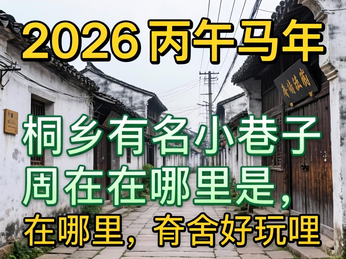 ��2026����������ͩ������С��������������ɶ��������