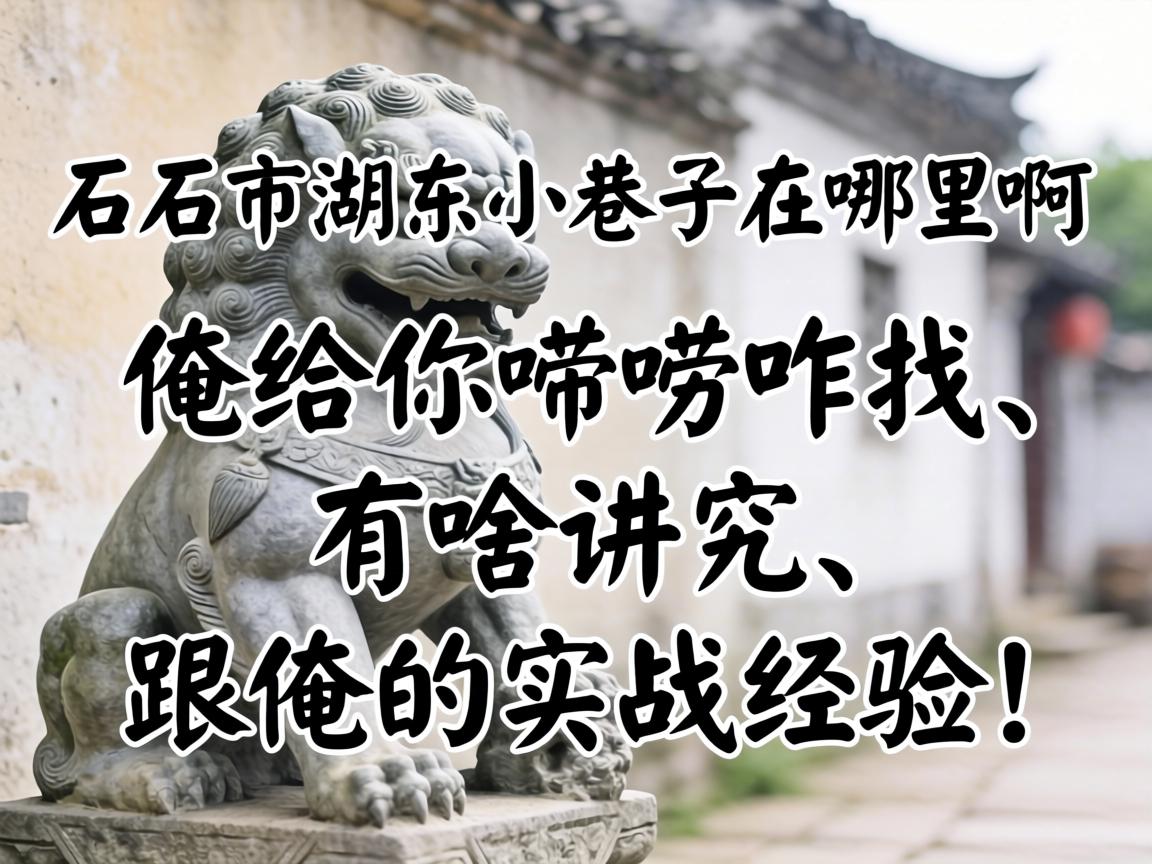 ʯʨ�к���С�����������������������զ�ҡ���ɶ����������������ս���飡