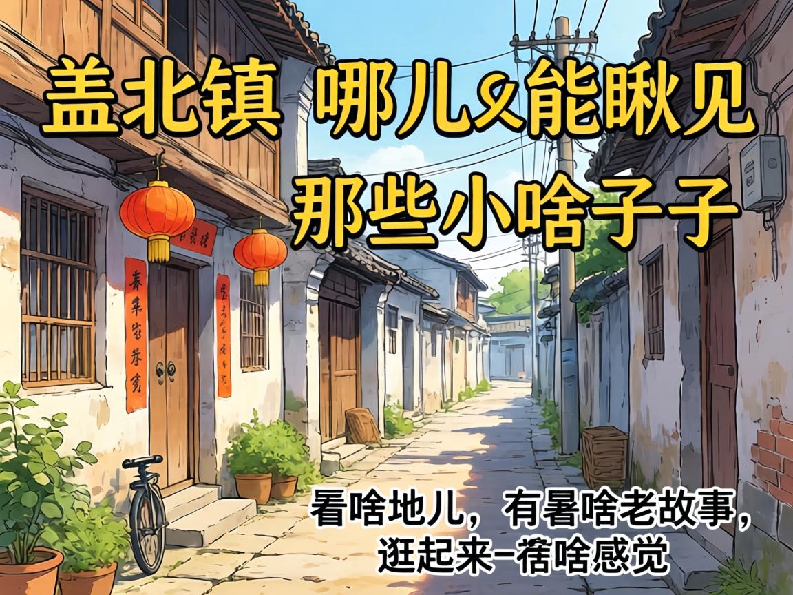 �ڸǱ������Ķ��ܳ����ЩС���������Ǿ�����ɶ�ض�����ɶ�Ϲ��¡�������ɶ������