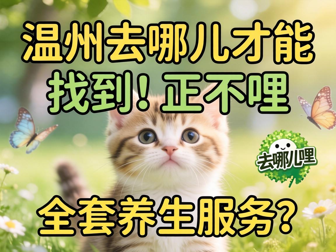 ��������ȥ�Ķ��Ż��ҵ�������ȫ������Ч����